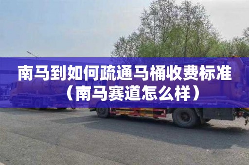 南马到如何疏通马桶收费标准（南马赛道怎么样）