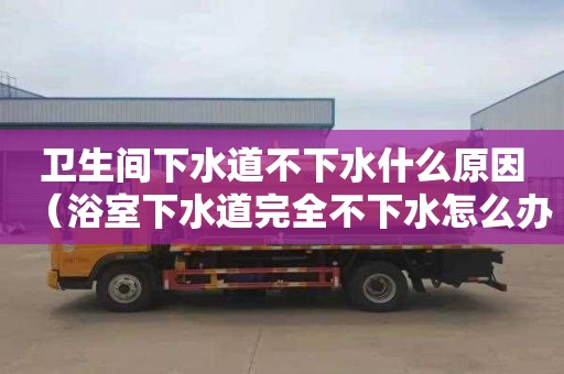 卫生间下水道不下水什么原因（浴室下水道完全不下水怎么办）