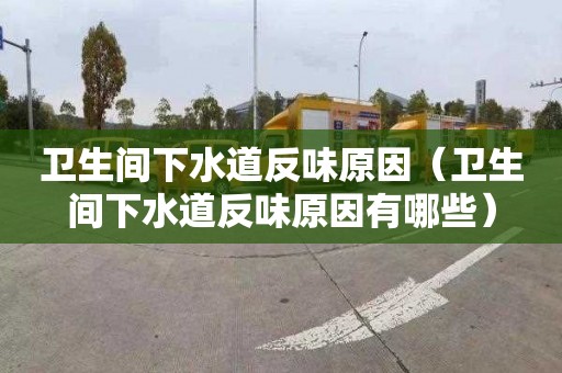 卫生间下水道反味原因（卫生间下水道反味原因有哪些）