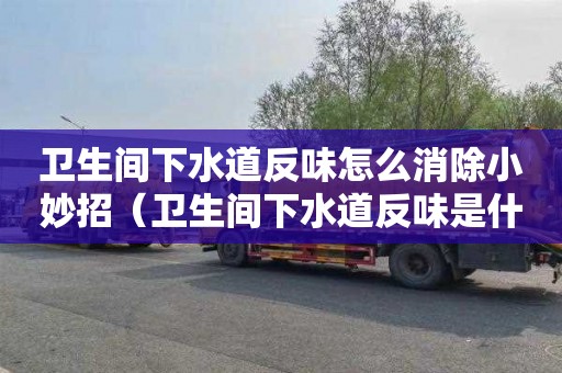 卫生间下水道反味怎么消除小妙招（卫生间下水道反味是什么气体）