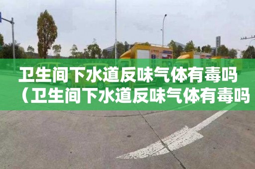 卫生间下水道反味气体有毒吗（卫生间下水道反味气体有毒吗视频）