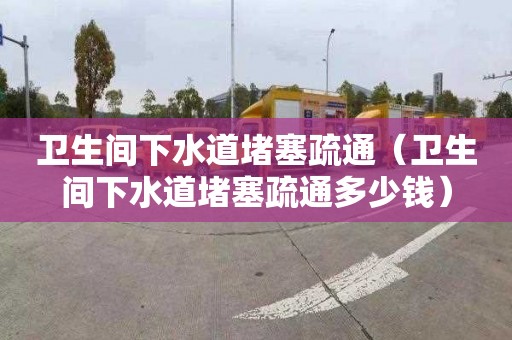 卫生间下水道堵塞疏通（卫生间下水道堵塞疏通多少钱）