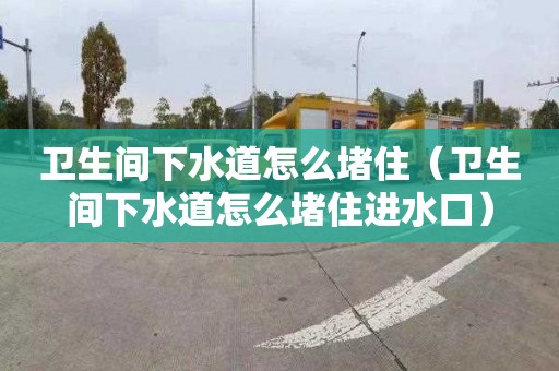 卫生间下水道怎么堵住（卫生间下水道怎么堵住进水口）