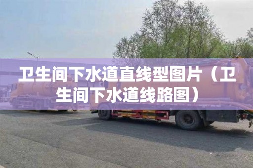 卫生间下水道直线型图片（卫生间下水道线路图）