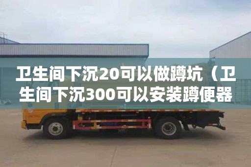 卫生间下沉20可以做蹲坑（卫生间下沉300可以安装蹲便器）