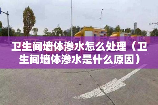 卫生间墙体渗水怎么处理（卫生间墙体渗水是什么原因）