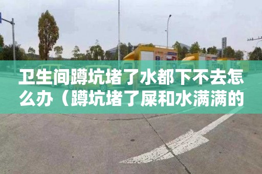 卫生间蹲坑堵了水都下不去怎么办（蹲坑堵了屎和水满满的下不去）