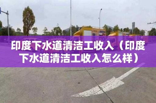 印度下水道清洁工收入（印度下水道清洁工收入怎么样）