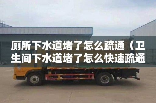 厕所下水道堵了怎么疏通（卫生间下水道堵了怎么快速疏通）