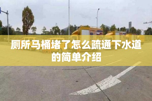 厕所马桶堵了怎么疏通下水道的简单介绍