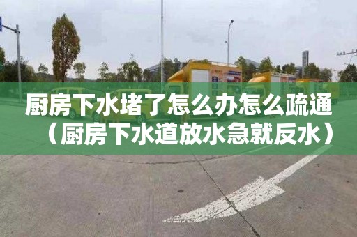 厨房下水堵了怎么办怎么疏通（厨房下水道放水急就反水）