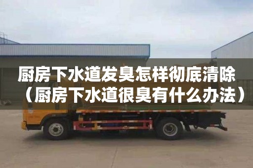 厨房下水道发臭怎样彻底清除（厨房下水道很臭有什么办法）