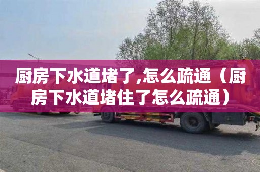 厨房下水道堵了,怎么疏通（厨房下水道堵住了怎么疏通）