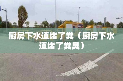 厨房下水道堵了粪（厨房下水道堵了粪臭）