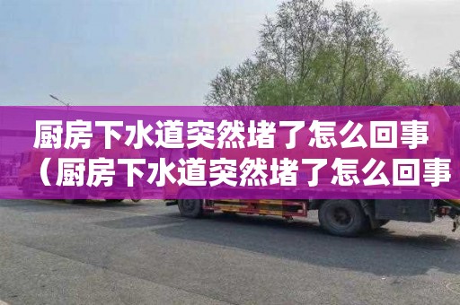 厨房下水道突然堵了怎么回事（厨房下水道突然堵了怎么回事啊）