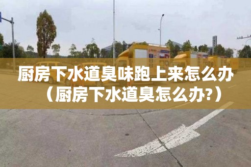 厨房下水道臭味跑上来怎么办（厨房下水道臭怎么办?）