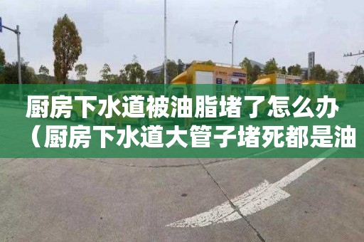 厨房下水道被油脂堵了怎么办（厨房下水道大管子堵死都是油）