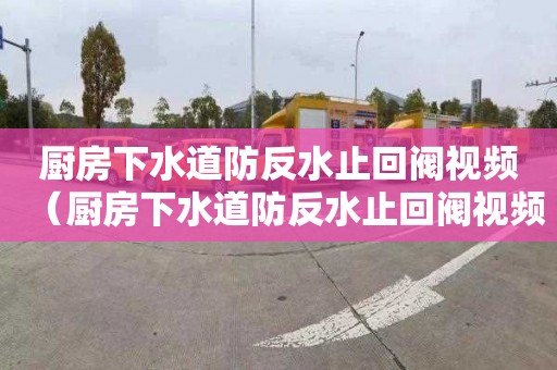 厨房下水道防反水止回阀视频（厨房下水道防反水止回阀视频讲解）