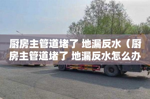 厨房主管道堵了 地漏反水（厨房主管道堵了 地漏反水怎么办）