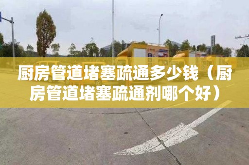 厨房管道堵塞疏通多少钱（厨房管道堵塞疏通剂哪个好）