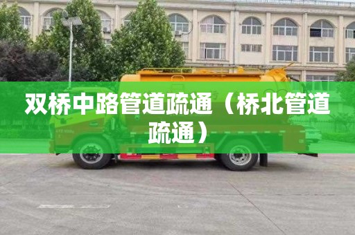 双桥中路管道疏通（桥北管道疏通）