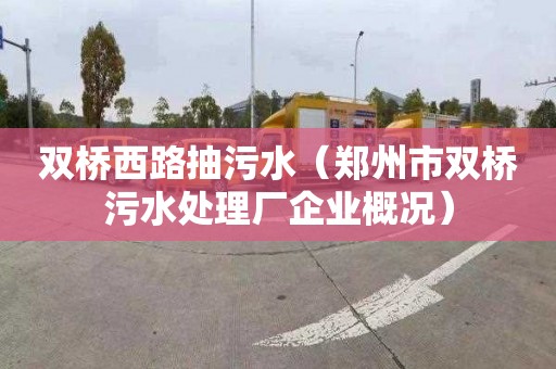 双桥西路抽污水（郑州市双桥污水处理厂企业概况）