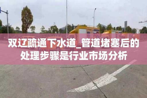 双辽疏通下水道_管道堵塞后的处理步骤是行业市场分析