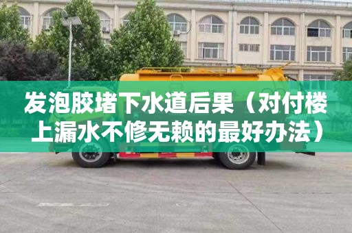 发泡胶堵下水道后果（对付楼上漏水不修无赖的最好办法）