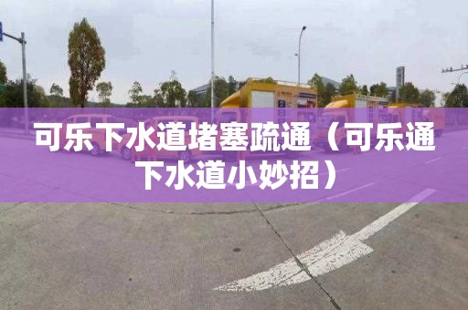 可乐下水道堵塞疏通（可乐通下水道小妙招）