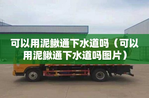 可以用泥鳅通下水道吗（可以用泥鳅通下水道吗图片）