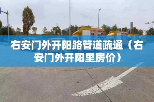 右安门外开阳路管道疏通（右安门外开阳里房价）