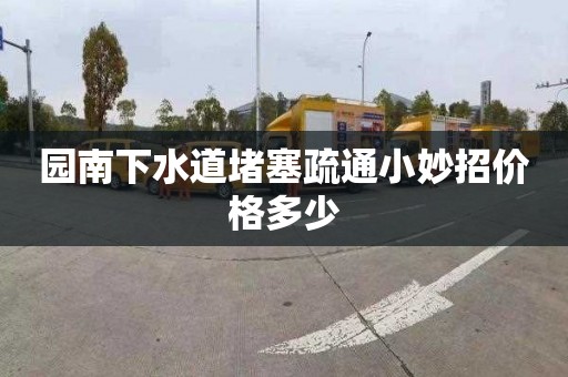 园南下水道堵塞疏通小妙招价格多少