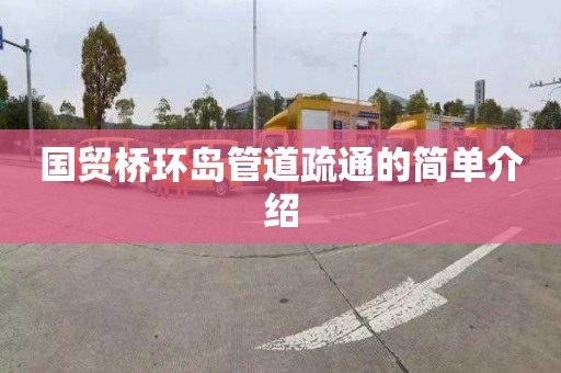 国贸桥环岛管道疏通的简单介绍