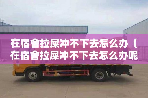 在宿舍拉屎冲不下去怎么办（在宿舍拉屎冲不下去怎么办呢）