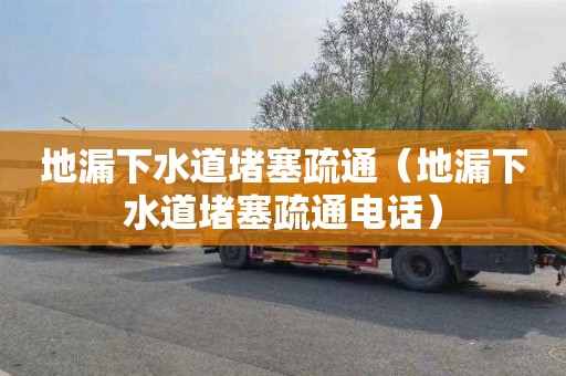 地漏下水道堵塞疏通（地漏下水道堵塞疏通电话）
