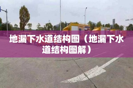 地漏下水道结构图（地漏下水道结构图解）