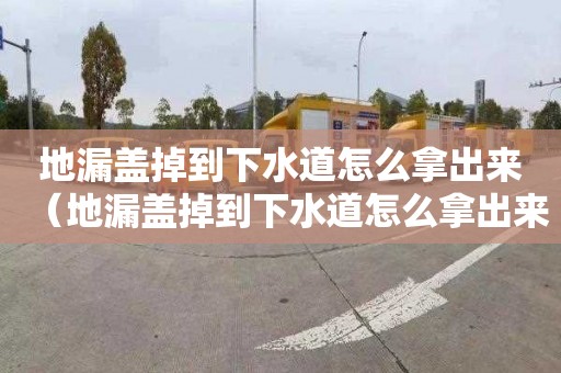 地漏盖掉到下水道怎么拿出来（地漏盖掉到下水道怎么拿出来视频）