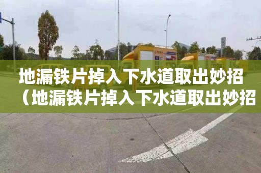 地漏铁片掉入下水道取出妙招（地漏铁片掉入下水道取出妙招视频）