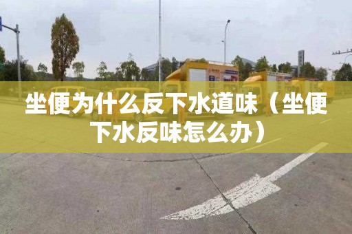 坐便为什么反下水道味（坐便下水反味怎么办）