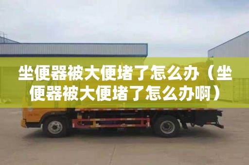 坐便器被大便堵了怎么办（坐便器被大便堵了怎么办啊）