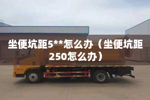 坐便坑距5**怎么办（坐便坑距250怎么办）