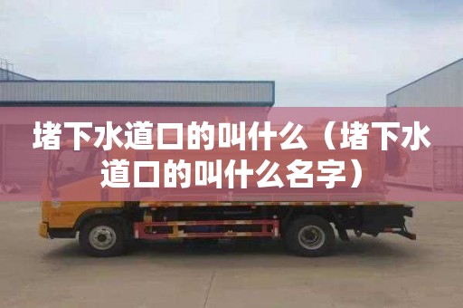 堵下水道口的叫什么（堵下水道口的叫什么名字）