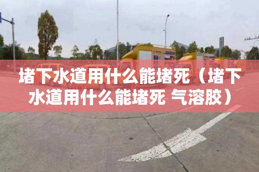 堵下水道用什么能堵死（堵下水道用什么能堵死 气溶胶）