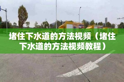 堵住下水道的方法视频（堵住下水道的方法视频教程）