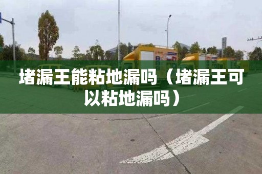 堵漏王能粘地漏吗（堵漏王可以粘地漏吗）