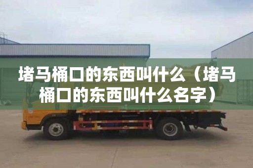 堵马桶口的东西叫什么（堵马桶口的东西叫什么名字）