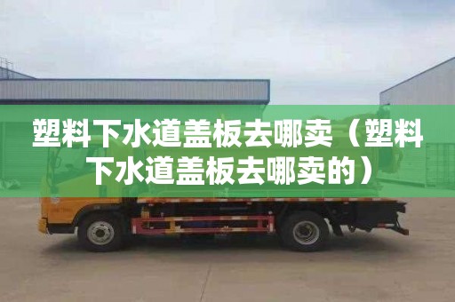 塑料下水道盖板去哪卖（塑料下水道盖板去哪卖的）