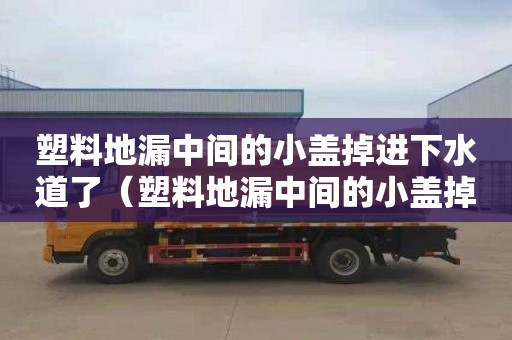 塑料地漏中间的小盖掉进下水道了（塑料地漏中间的小盖掉进下水道了怎么办）