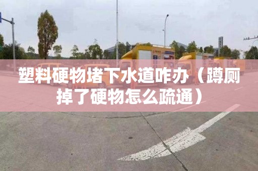 塑料硬物堵下水道咋办（蹲厕掉了硬物怎么疏通）