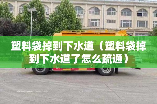 塑料袋掉到下水道（塑料袋掉到下水道了怎么疏通）